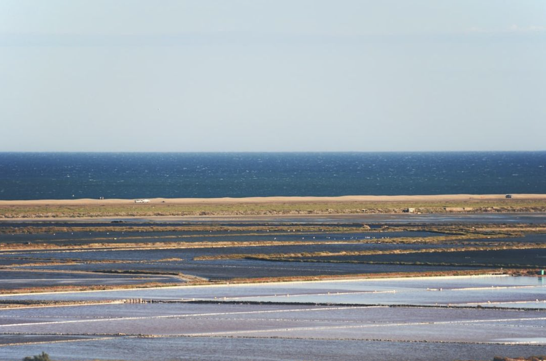 Marais Salant