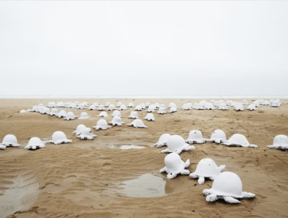 Tortue de la paix – Image 2