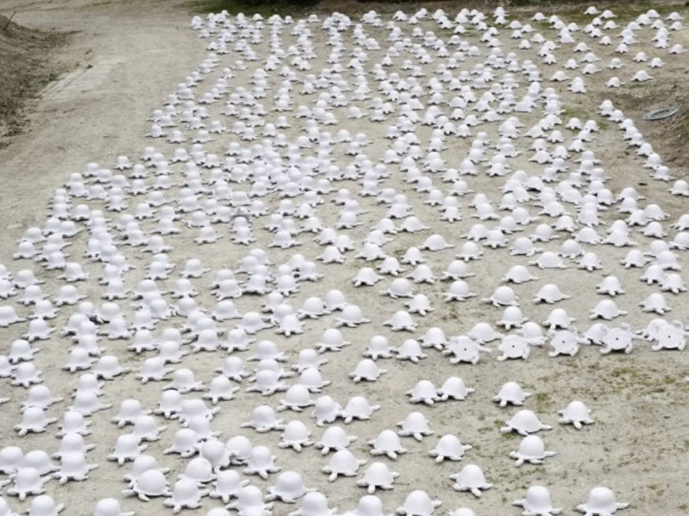 Tortue de la paix – Image 3