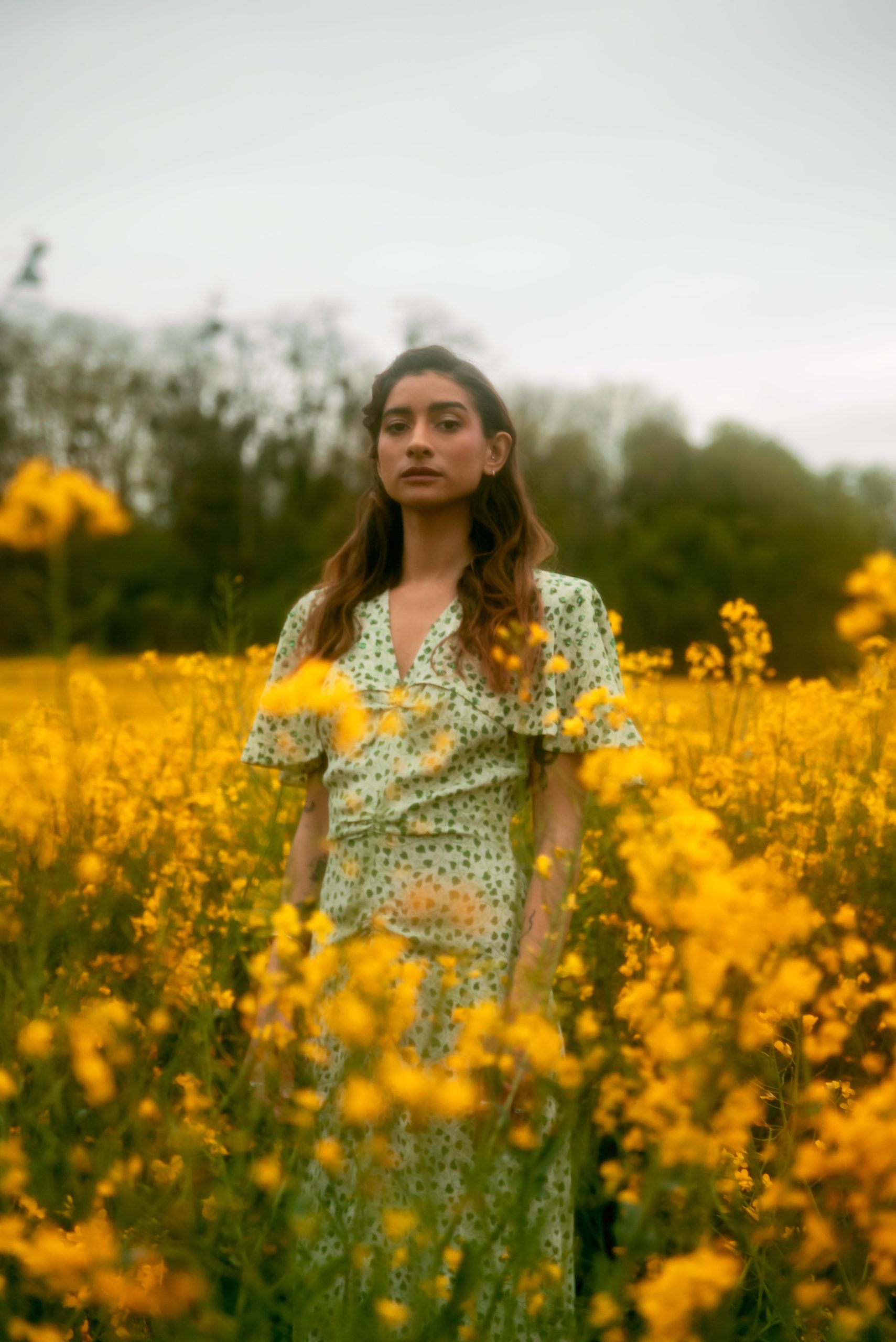 A Vintage Manifest, « Golden Haze »